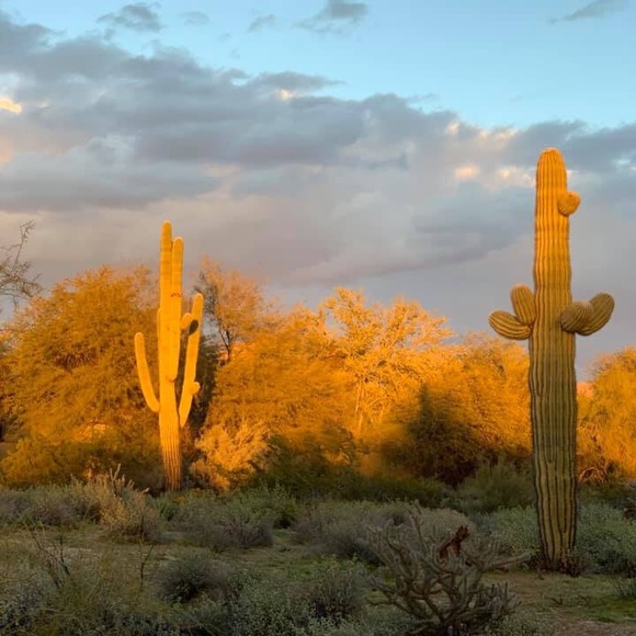 Meet your Posher, Joan - Picture 1 of 1